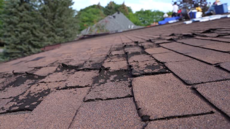 Best Roof Moss and Algae Removal  in Hyde, PA